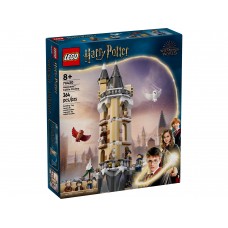 LEGO Harry Potter Hogvartso pilies pelėdynas 76430