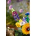  Laukinių gėlių puokštė   LEGO® Icons  10313